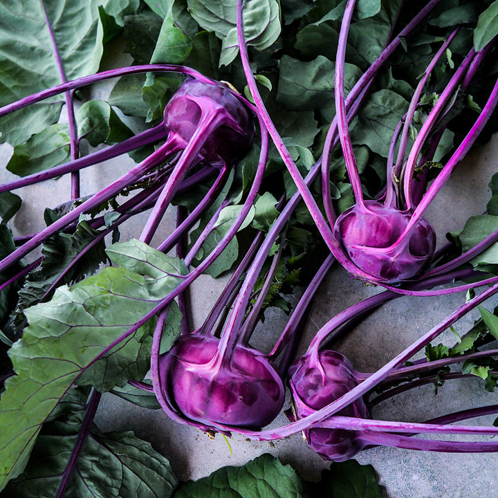 An overhead angle view of four large Azur Kohlrabi roots with leaves.