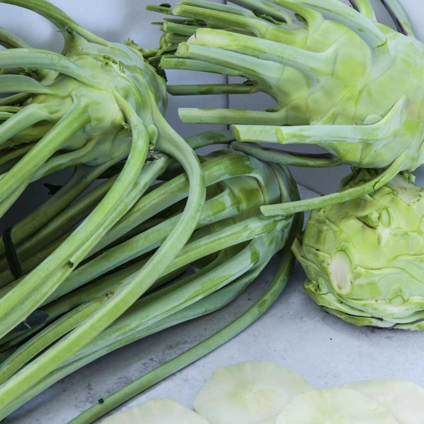 Four Early White Vienna Kohlrabi in a pile on a white background.