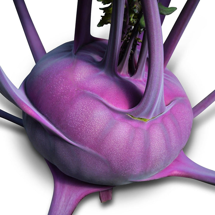 An extreme close up of Azure Kohlrabi on a white background.