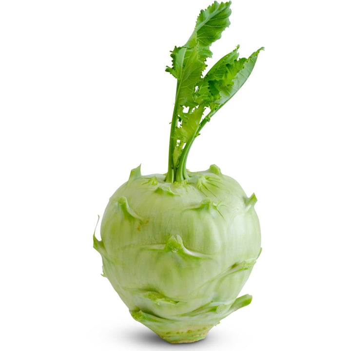 Delicacy White Kohlrabi on a white background.