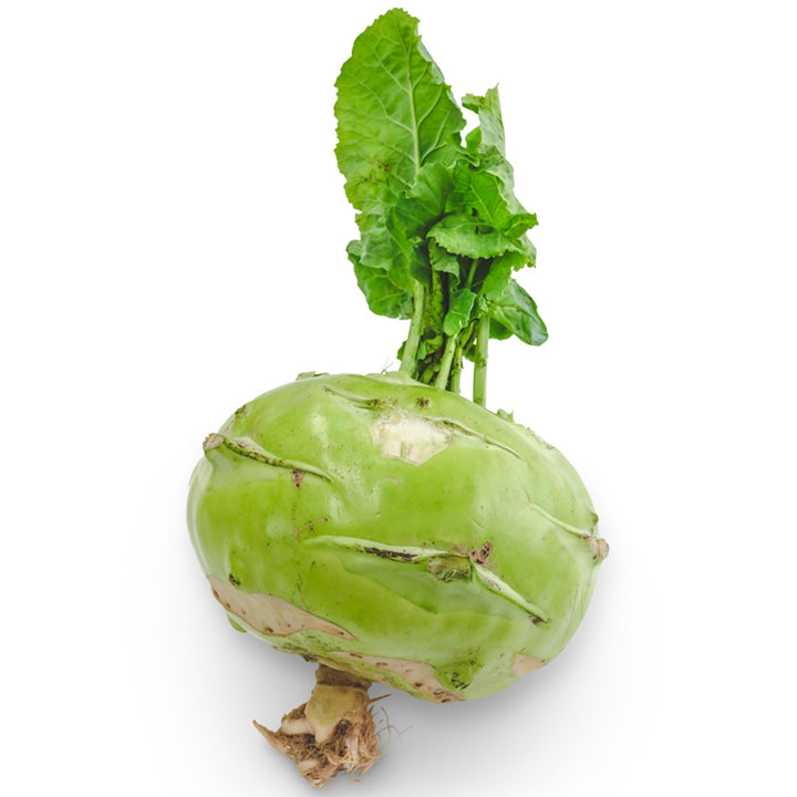Kohlrabi Seeds, Superschmelz or Giant White