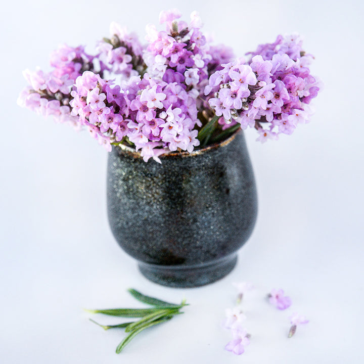 Ellagance Pink Lavender arranged in a small vase on white.