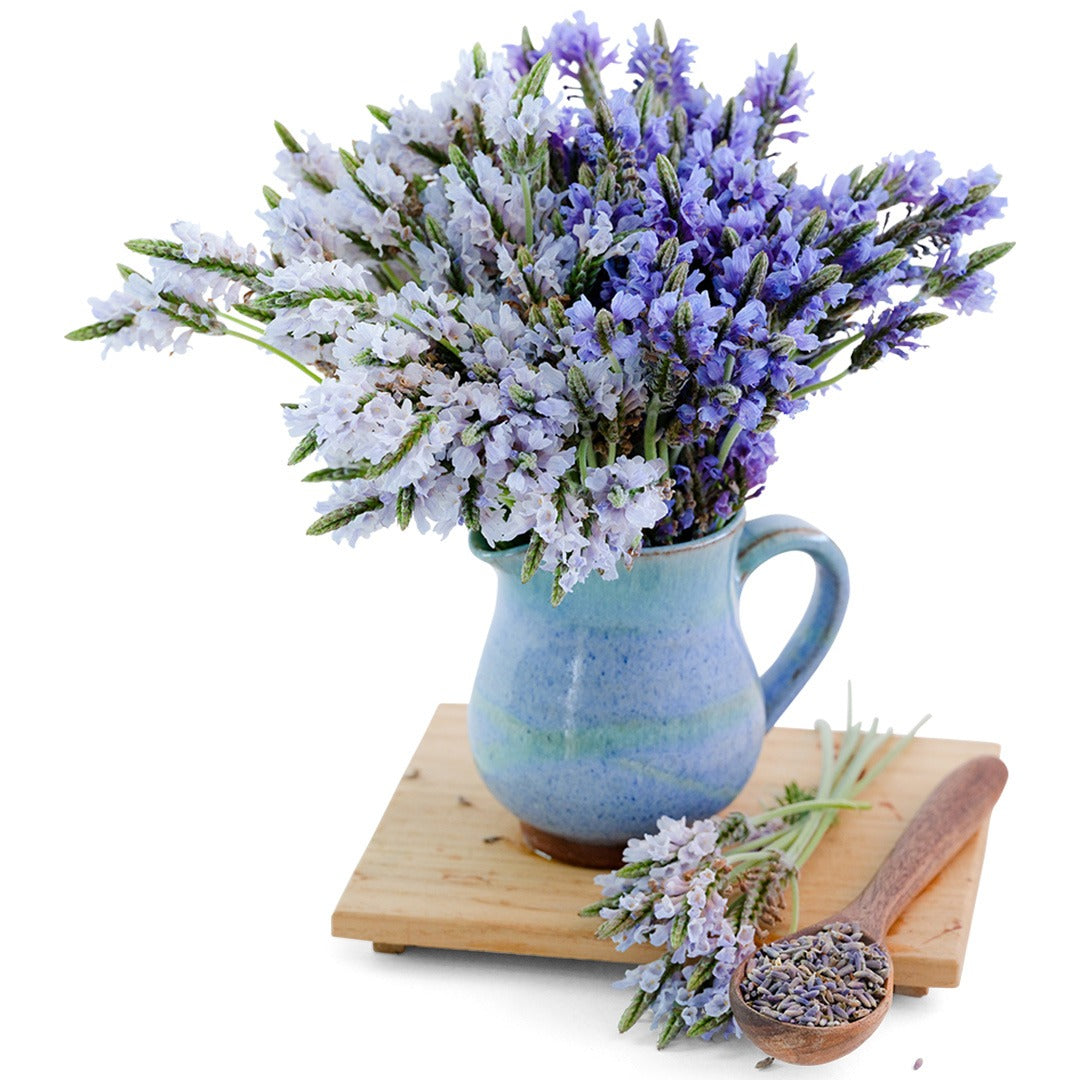Torch Minty Ice Lavender in a blue clay jug on a wood cutting board on a white background.