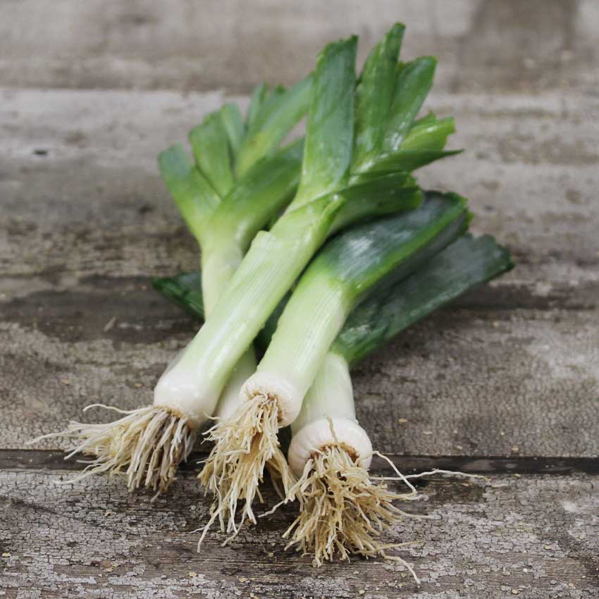 Four Autumn Giant Leeks in a pile on a wooden board.