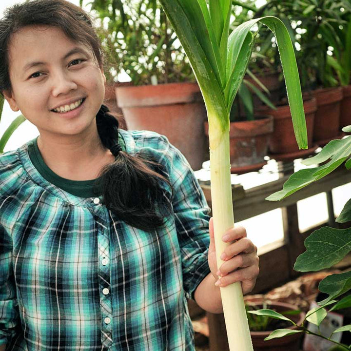 Close-up of Monik holding Bulgarian Giant Leek.