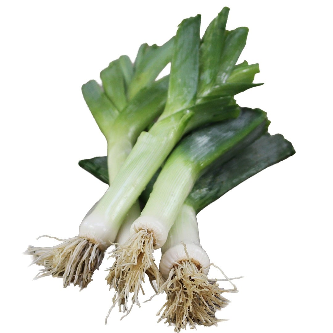Autumn Giant Leeks on a white background.