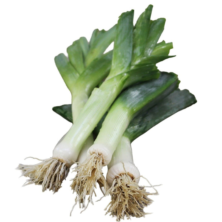 Autumn Giant Leeks on a white background.
