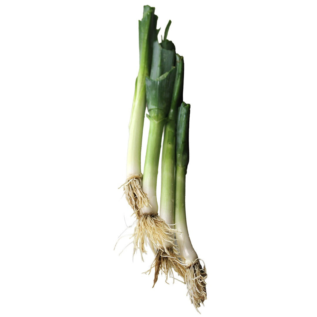 Carentan Leeks stacked on a white background.