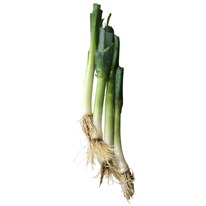 Carentan Leeks stacked on a white background.