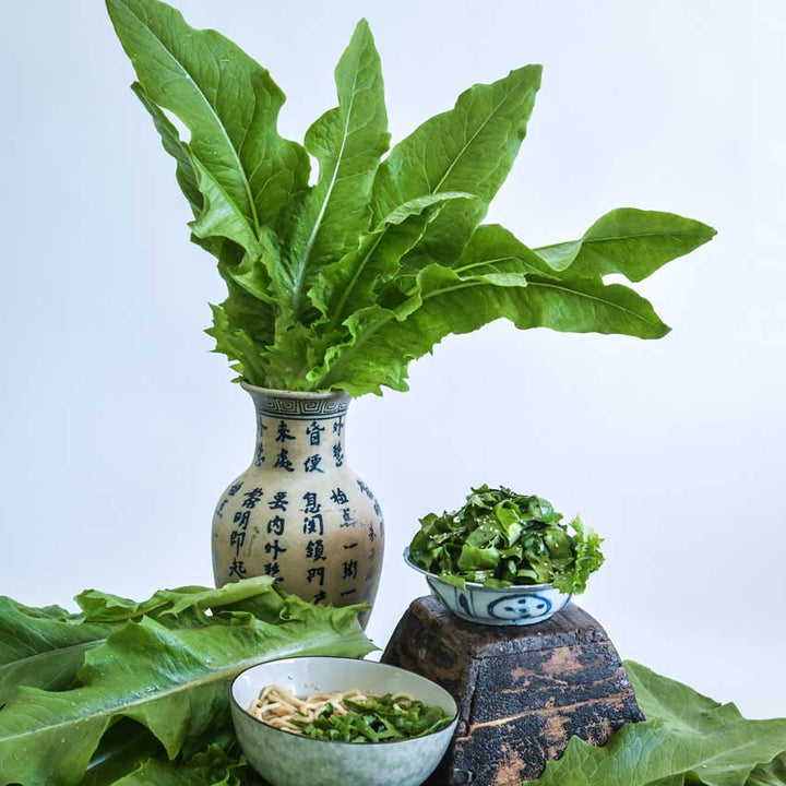 Closeup of Chinese Narrow Leaf Lettuce in a vase behind two bowls of salad greens with loose leaves on the side.