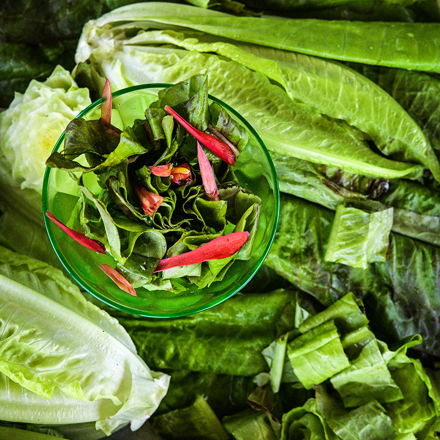 Close-up of a small green bowl of Devil&