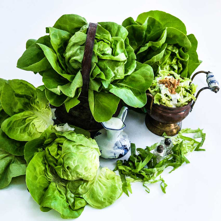 A bowl of Gustav's Salad Lettuce in a basket and a bowl of salad on a white background.