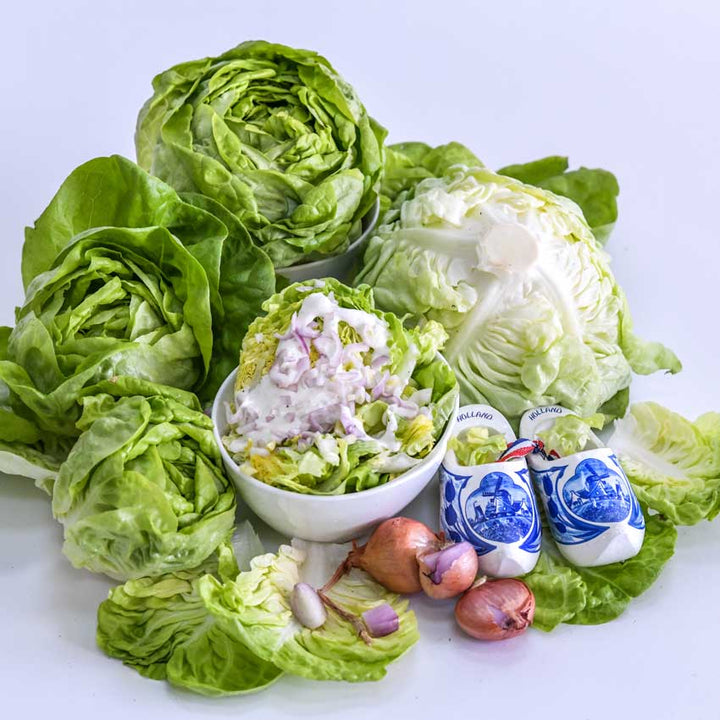 A bowl of Gustav's Salad Lettuce and a bowl of salad on a white background.