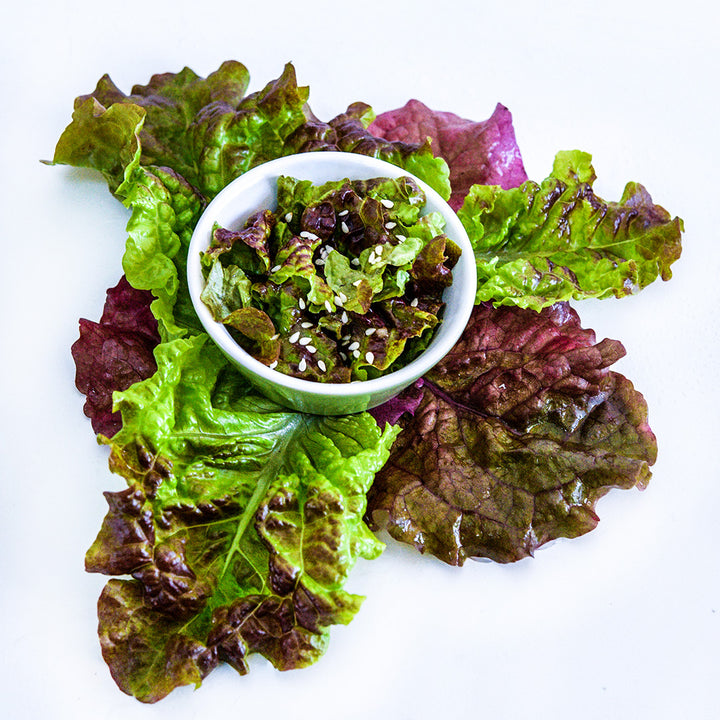 A bowl of Hao Shan Red Lettuce surrounded by colorful leaves on a white background.