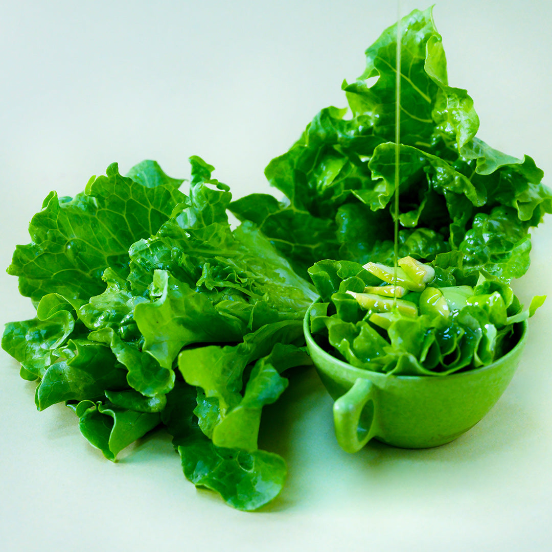 Hao Shan Lettuce in a green cup with dressing being drizzled on it and a couple of heads of lettuce.