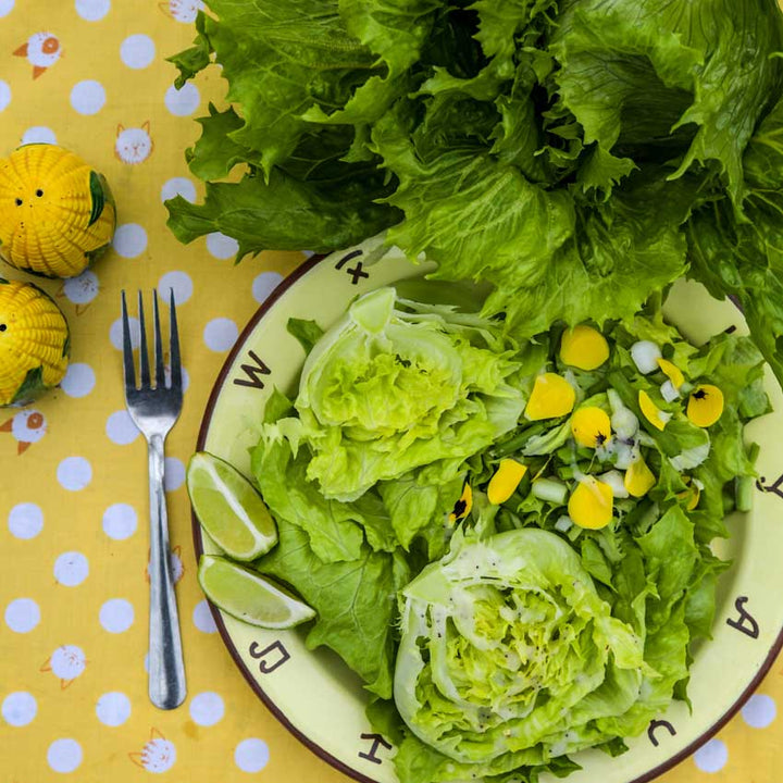 Ice Queen Lettuce salad greens on a plate with corn salt and pepper shakers on yellow with white polka dot background.