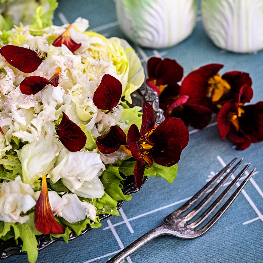Edible Black Velvet Nasturtium petals on top of a bed of Ice Queen lettuce with a fork.
