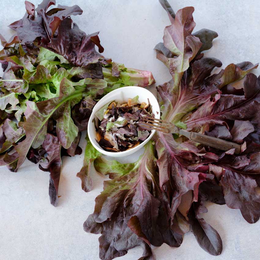 Lunix Lettuce leaves surrounding a bowl of chopped salad.