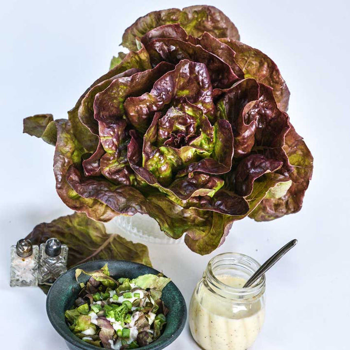 Merveille des Quatre Saisons head in jar next to a small bowl of salad and dressing.