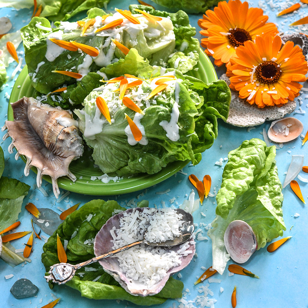 Manoa Lettuce on a plate with salad dressing and props from Hawaii on a light blue background.