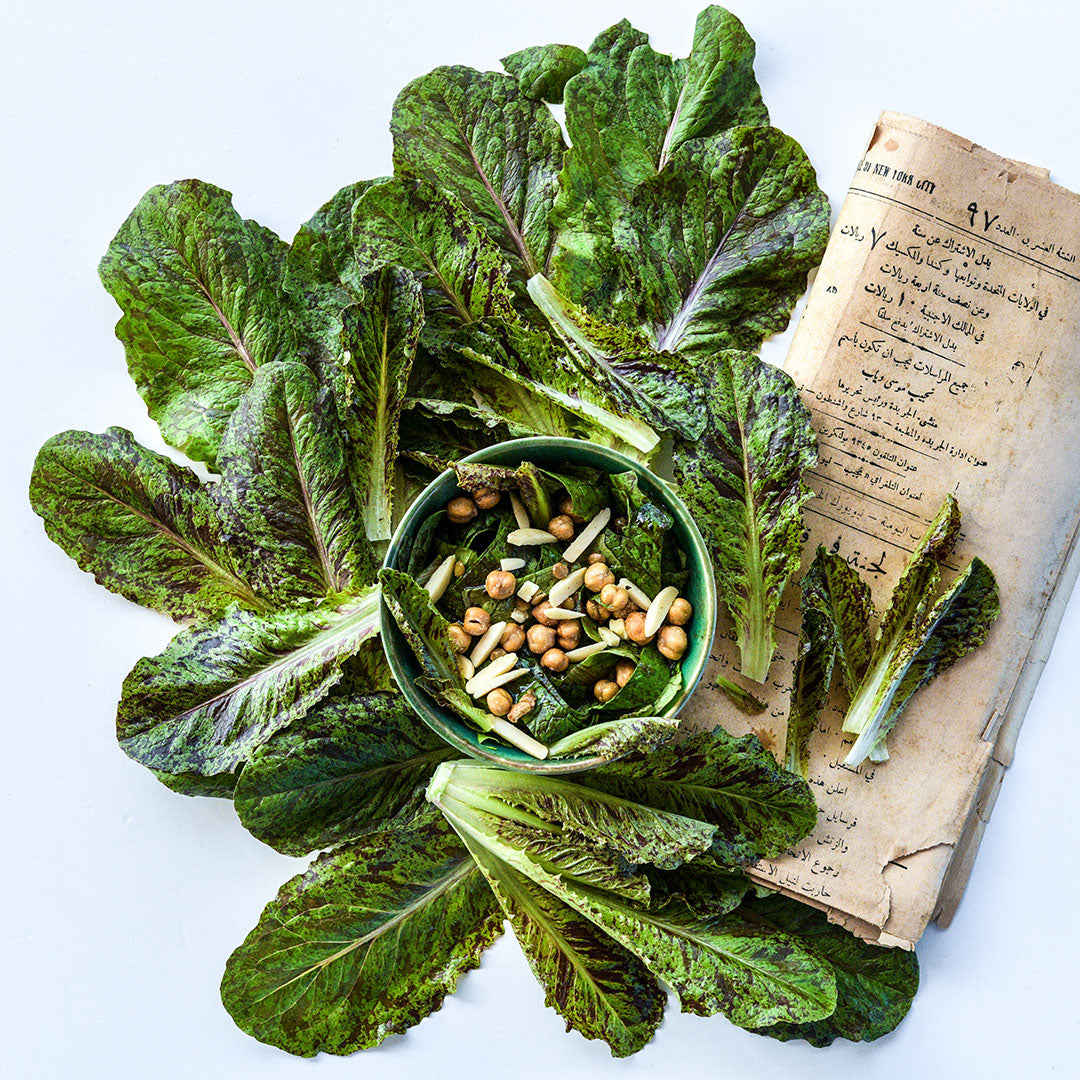Spotted Aleppo Syrian Lettuce with an Arabic newspaper arranged around a salad on white.