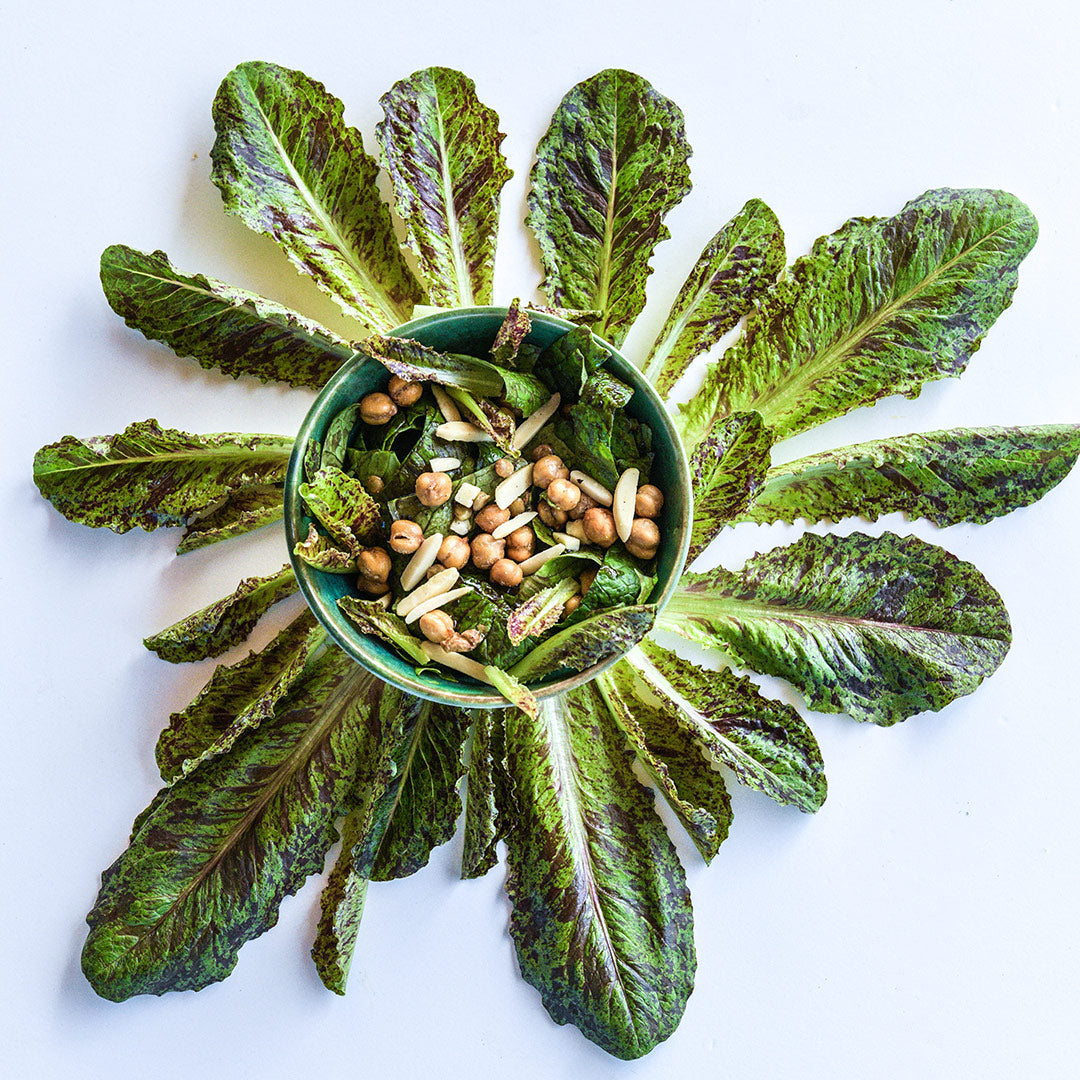 Spotted Aleppo Syrian Lettuce leaves arranged around a bowl of salad.
