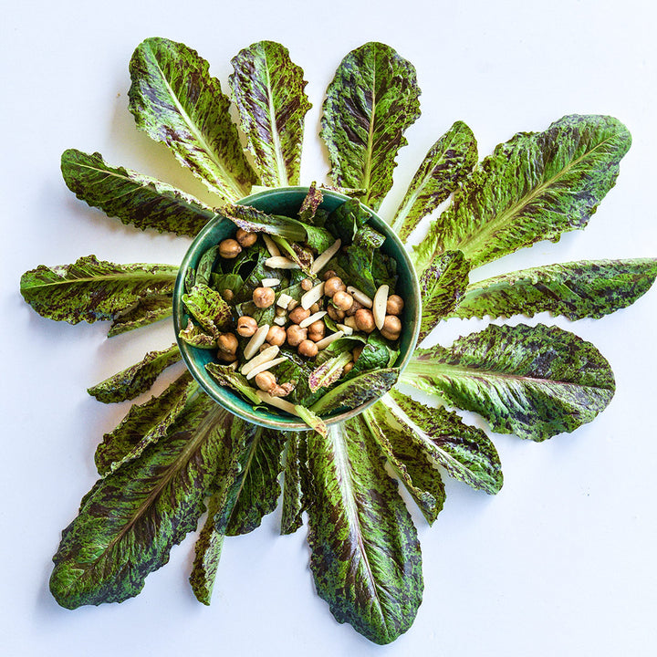 Spotted Aleppo Syrian Lettuce leaves arranged around a bowl of salad.