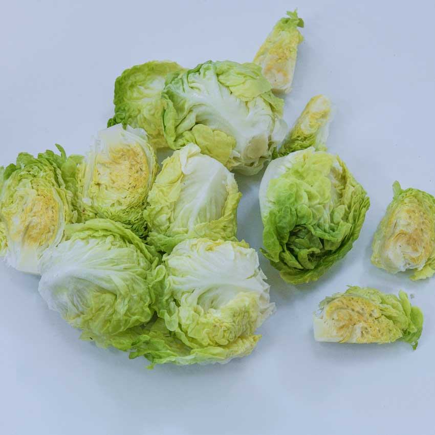 Several Tom Thumb Lettuce heads on a light blue background.