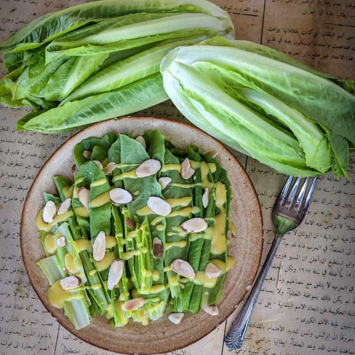 Yedikule Lettuce salad greens in a bowl with dressing, head, and loose leaves on foreign newspaper