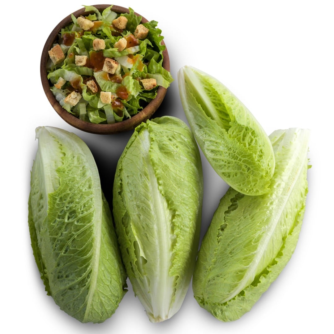 Crisp Mint Lettuce heads with a wooden bowl of chopped lettuce and croutons on a white background.
