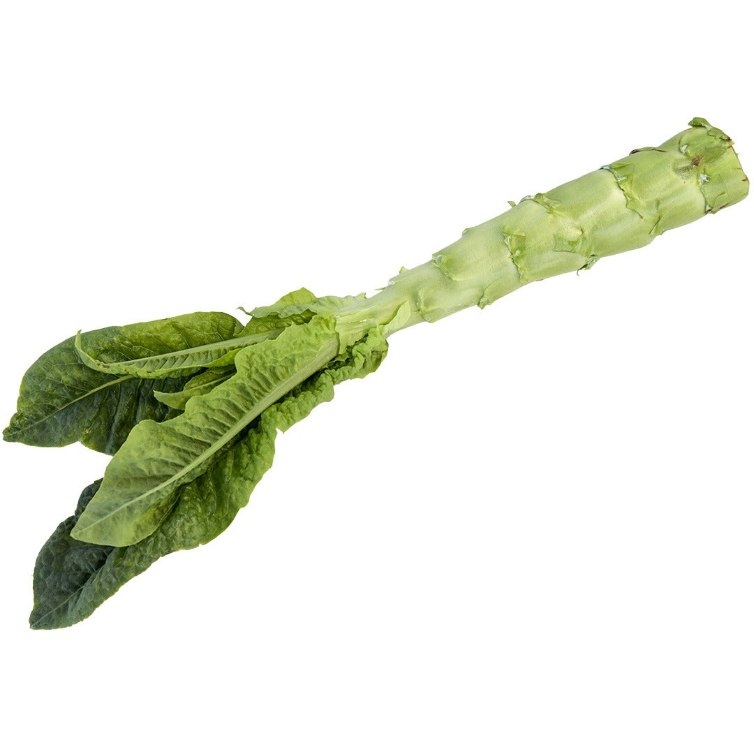 Single Green Mountain Celtuce Lettuce on a white background.