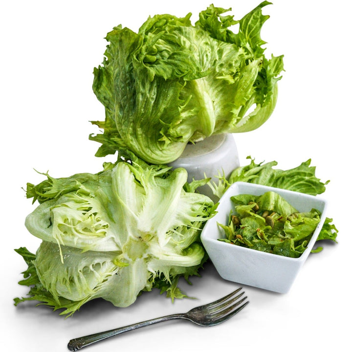 Pair of Ice Queen Lettuce heads with chopped lettuce in a white dish on a white background.