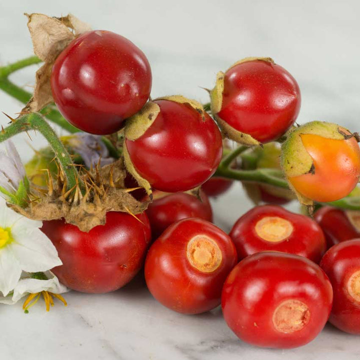 Litchi Tomato cluster on a marble background.