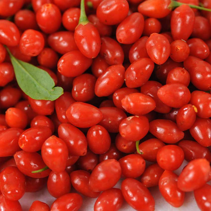 Close-up of a pile of Scarlet Goji Berry.