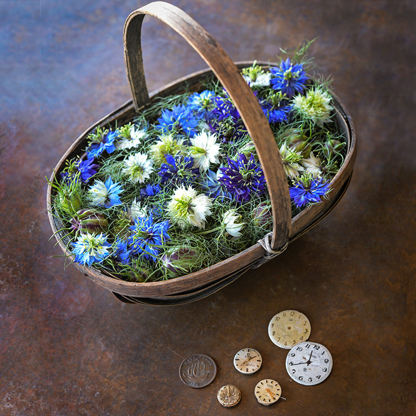 Miss Jekyll Mix Love-In-A-Mist flowers in an English garden basket with watch faces on a copper background.