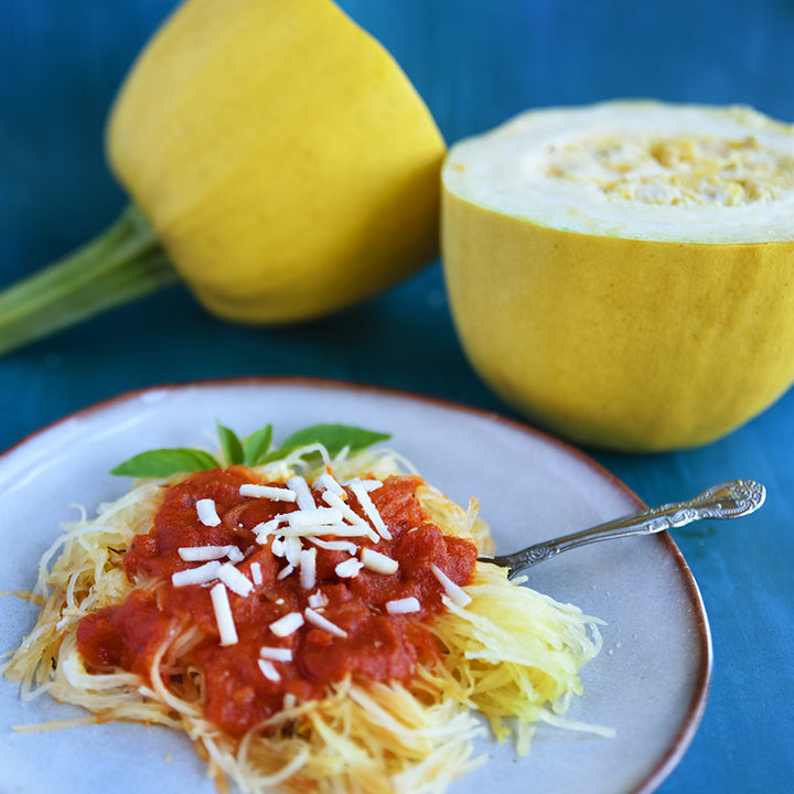 A plate of Warsaw Pasta Winter Squash with marinara sauce with squash in the background.