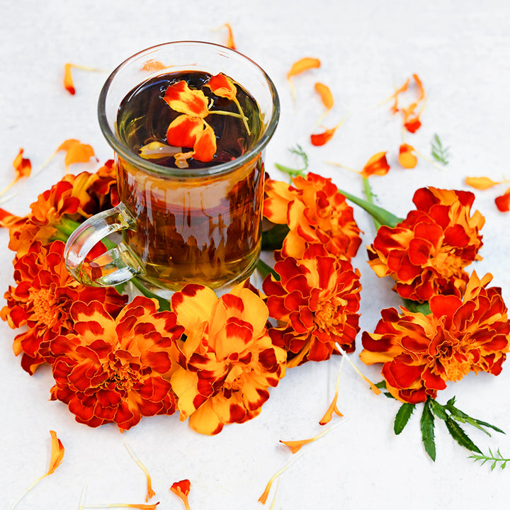 Safari Scarlet Marigolds with tea made from the marigolds on a light background.