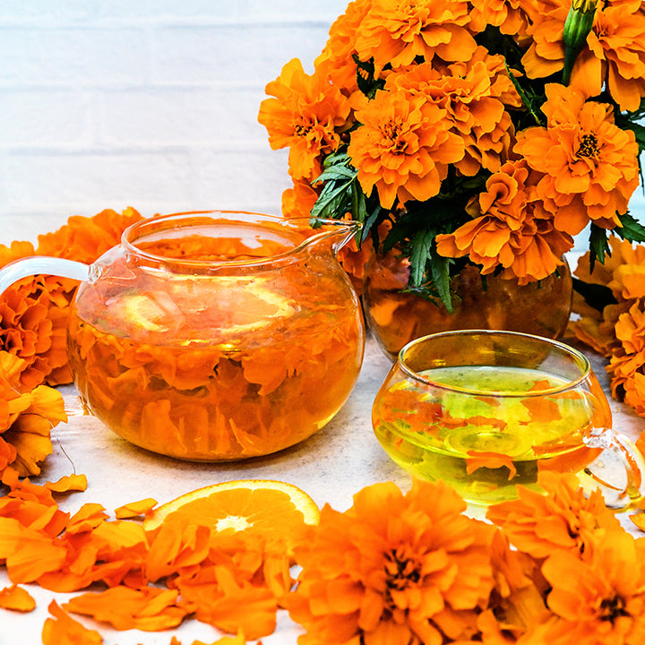 Safari Tangerine Marigolds with petals in a glass tea pot and cup surrounded by blooms on white.