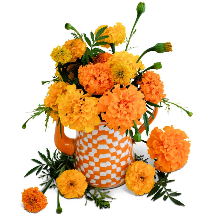 Bouquet of Crackerjack Mix Marigold in a white and orange vase on a white background.
