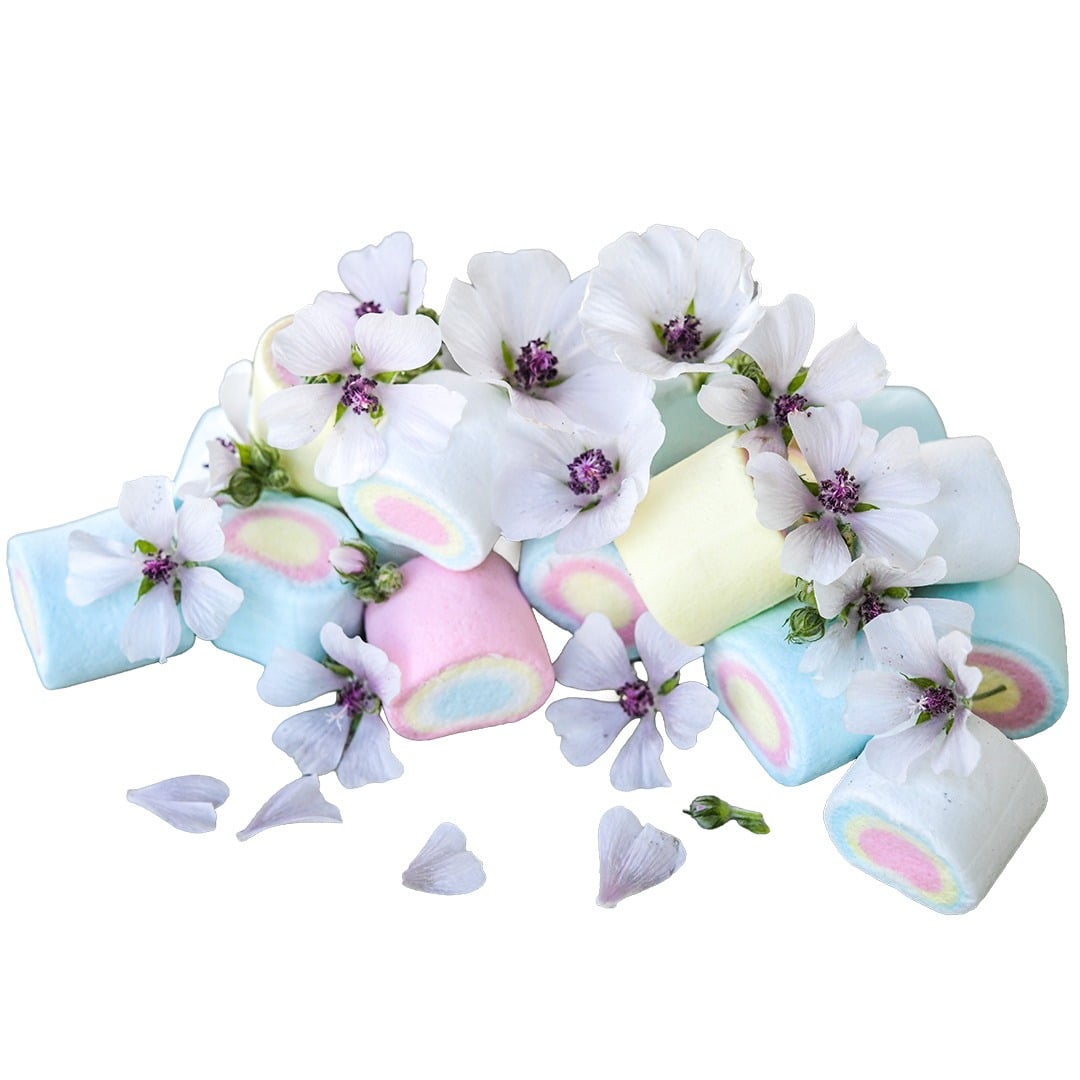 Marshmallow blooms with marshmallows on a white background.