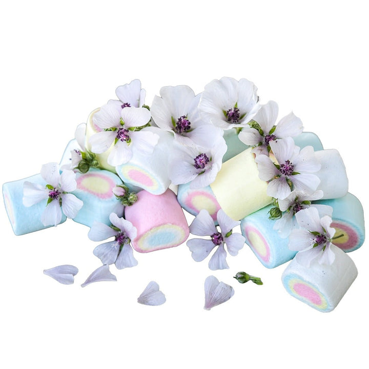 Marshmallow blooms with marshmallows on a white background.