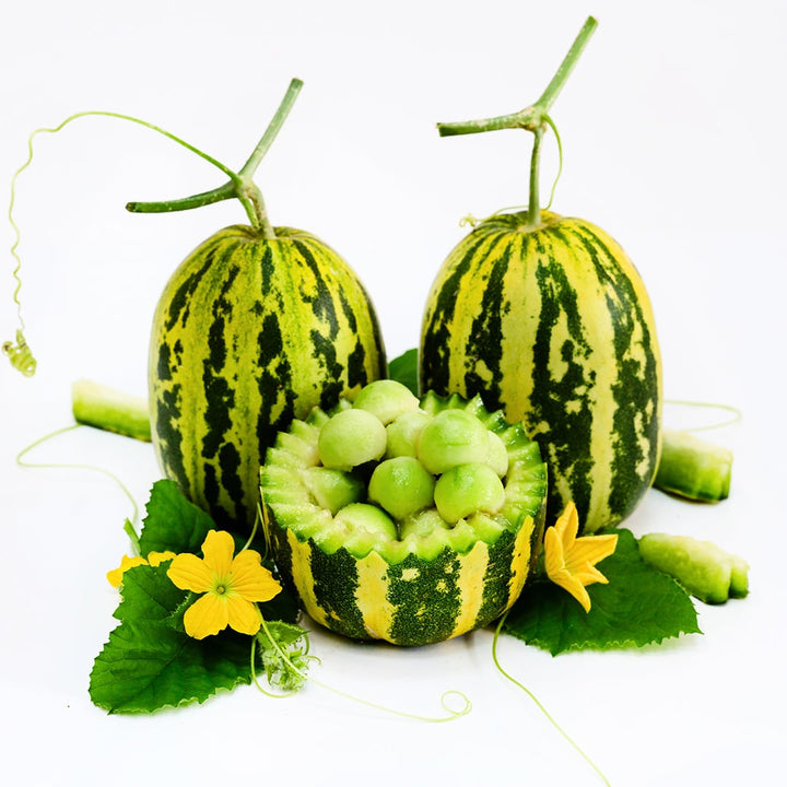 Two whole Japanese Tiger Melons with melon balls on white background.