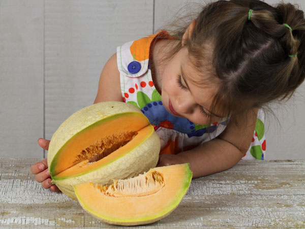 Melon Seeds, Missouri Gold