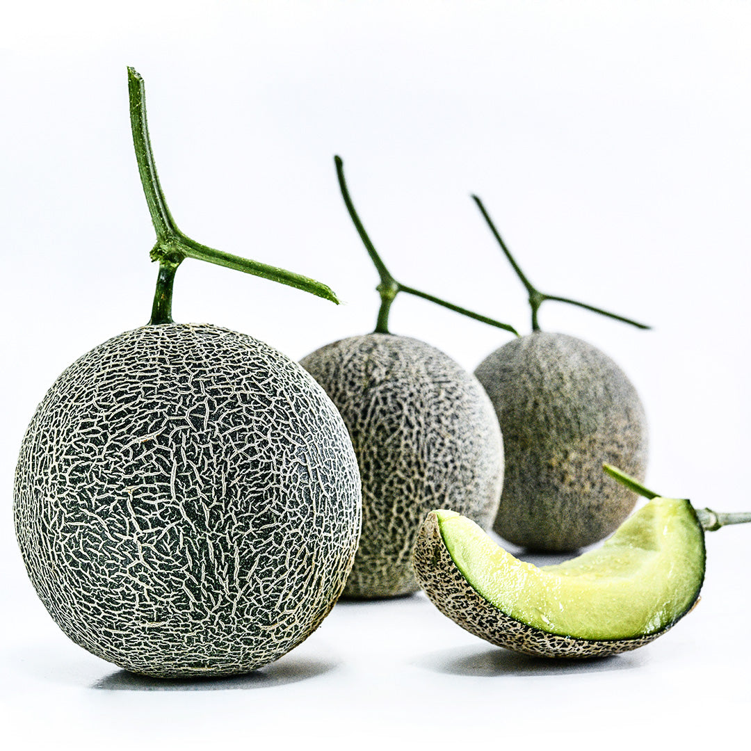 Three Sugar Dew Melons with a slice of melon arranged on a white background.