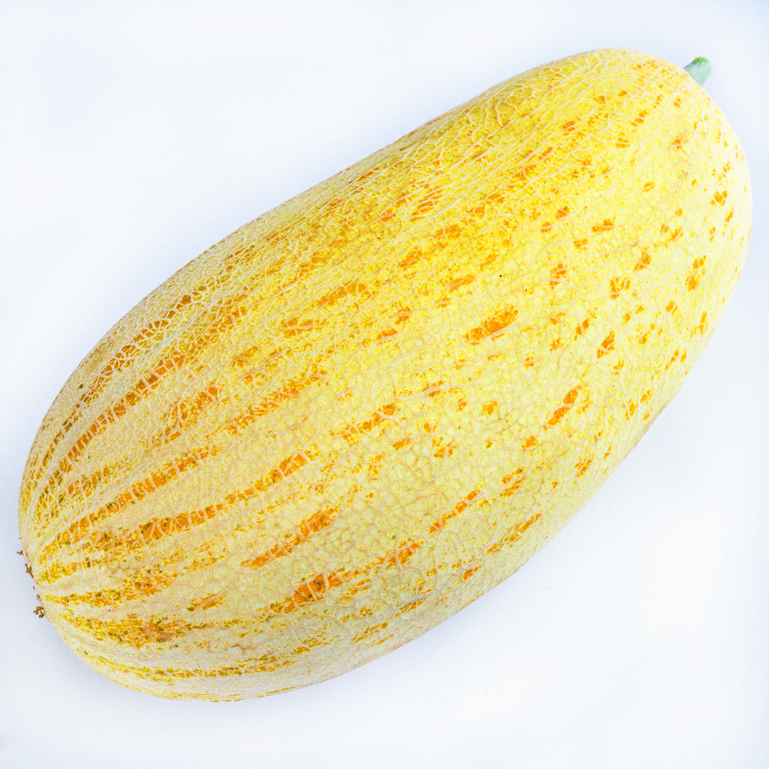 A single whole Tejen Giant Melon on a white background.