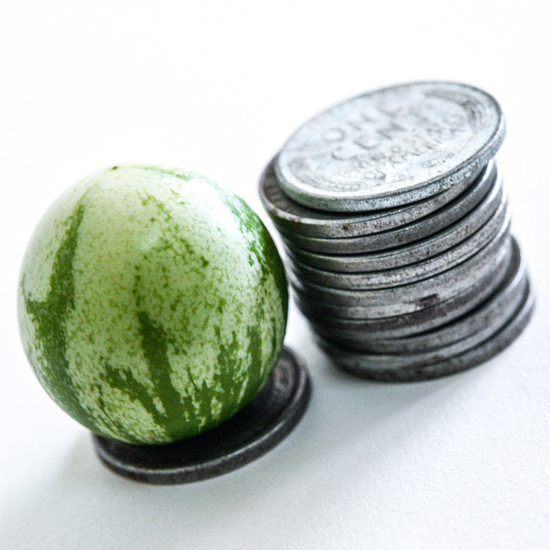 An extreme close-up of a single Tzimbalo Melon Pear beside a stack of pennies on white.