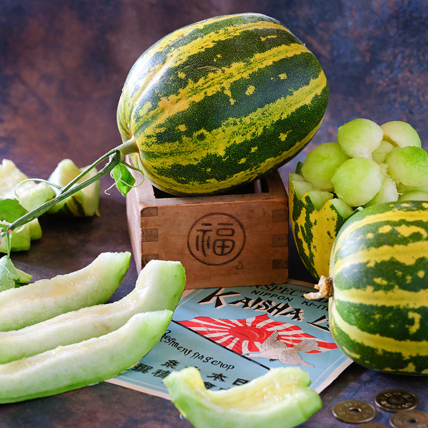 Whole and cut Japanese Tiger Melon with melon balls and vintage Japanese props.