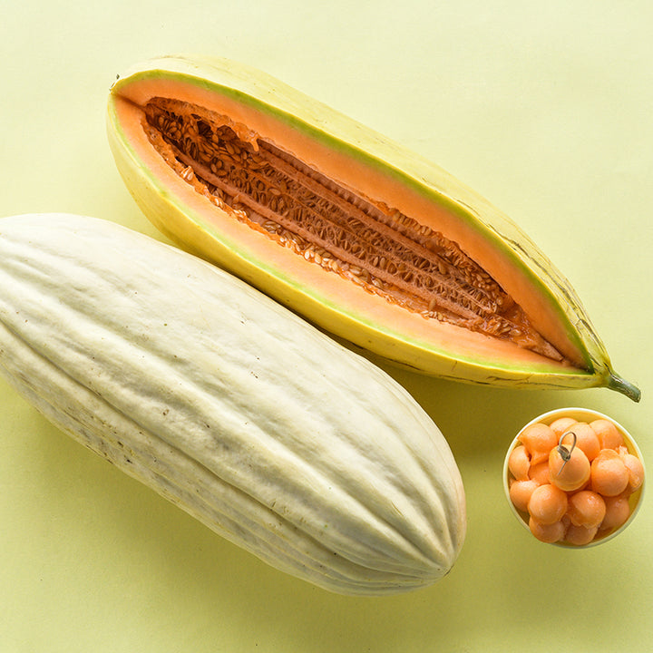 Banana Melon showing interior with ball of melon balls.