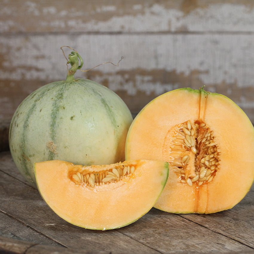 Charentais Melon, whole, halved and quartered.