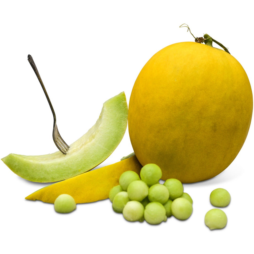 Golden Honeymoon Melon with melon balls on a white background.